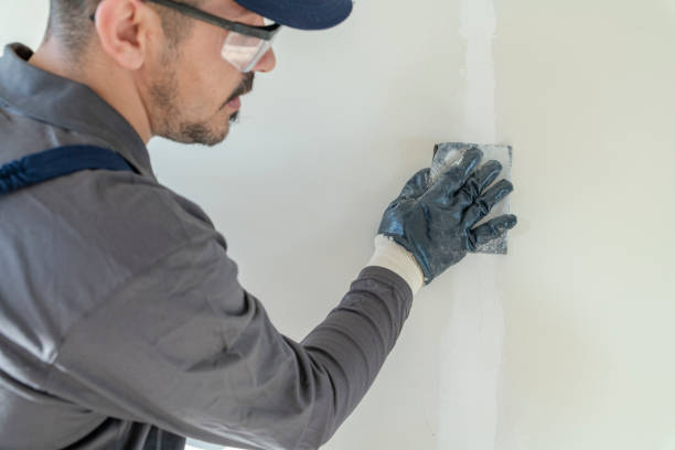 Best Basement Mold Removal  in USA